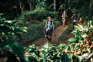 BIB: 
                            <button type="button" onclick="openModal(25844628)" class="btn btn-primary btn-sm float-right btn-popup" data-toggle="modal" data-target=".modal-high-quality">
                        <i class="fas fa-shopping-cart"></i> Add to Cart
                    </button>
                                            <button type="button" onclick="isThisMe(25844628, true)" class="btn btn-success btn-sm float-right btn-popup btn-isme hidden" data-toggle="tooltip" data-placement="bottom" title="นี่คือรูปของคุณใช่ไหม คลิกที่นี่เพื่อเอาเข้าอัลบั้ม">
                        <i class="fas fa-plus"></i> Add to album
                    </button>
                    <button type="button" onclick="isThisMe(25844628, false)" class="btn btn-warning btn-sm float-right btn-popup btn-isnotme hidden">
                        <i class="fas fa-ban"></i> Remove from album
                    </button>